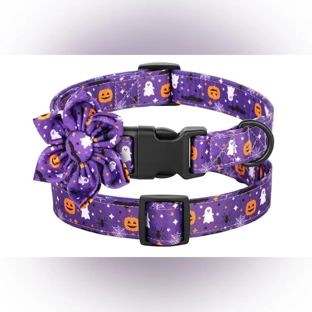 Purple Halloween Female Dog Collar with Bow, size Medium